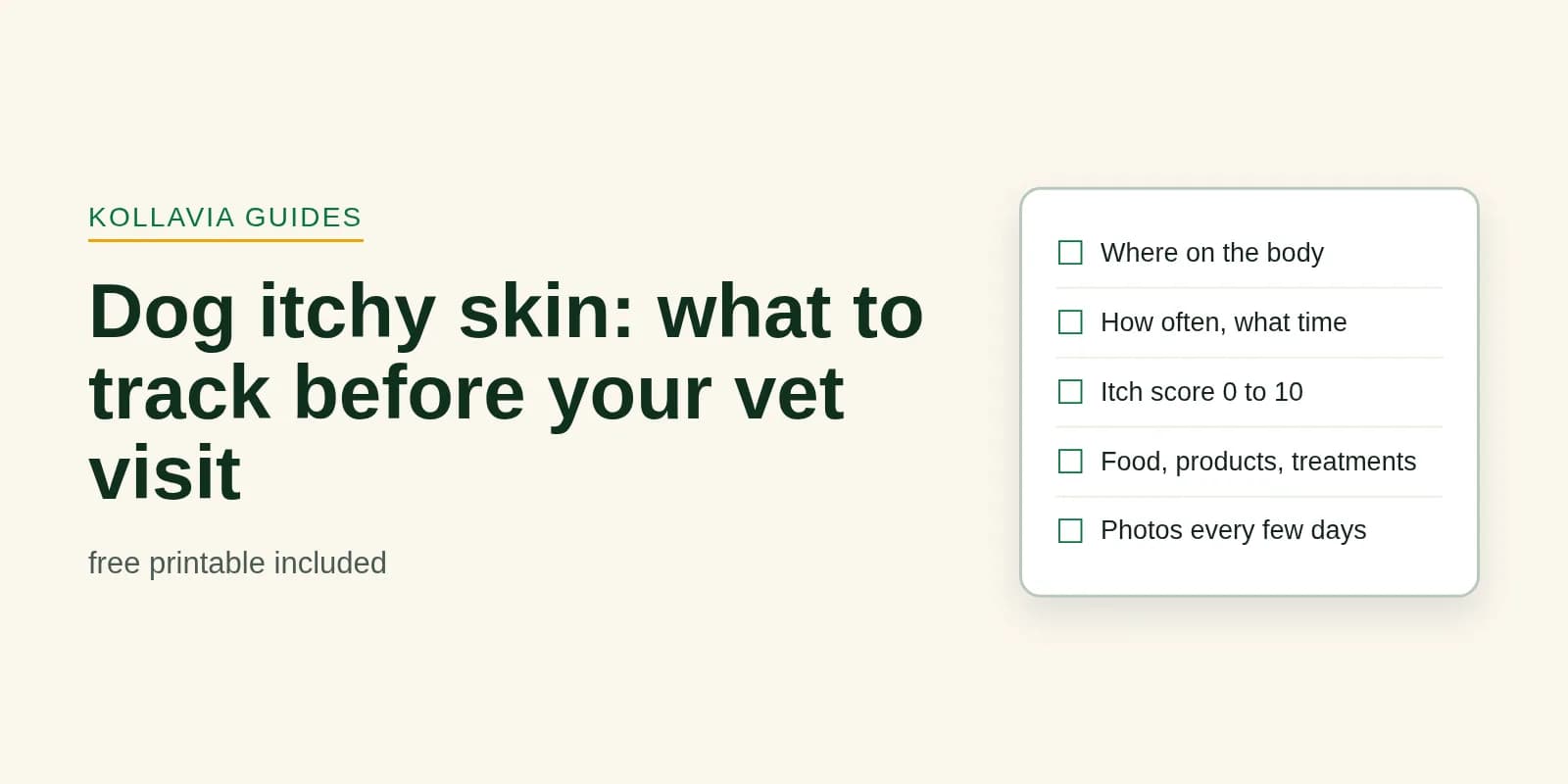 Dog Itchy Skin? What to Track Before Your Vet Visit