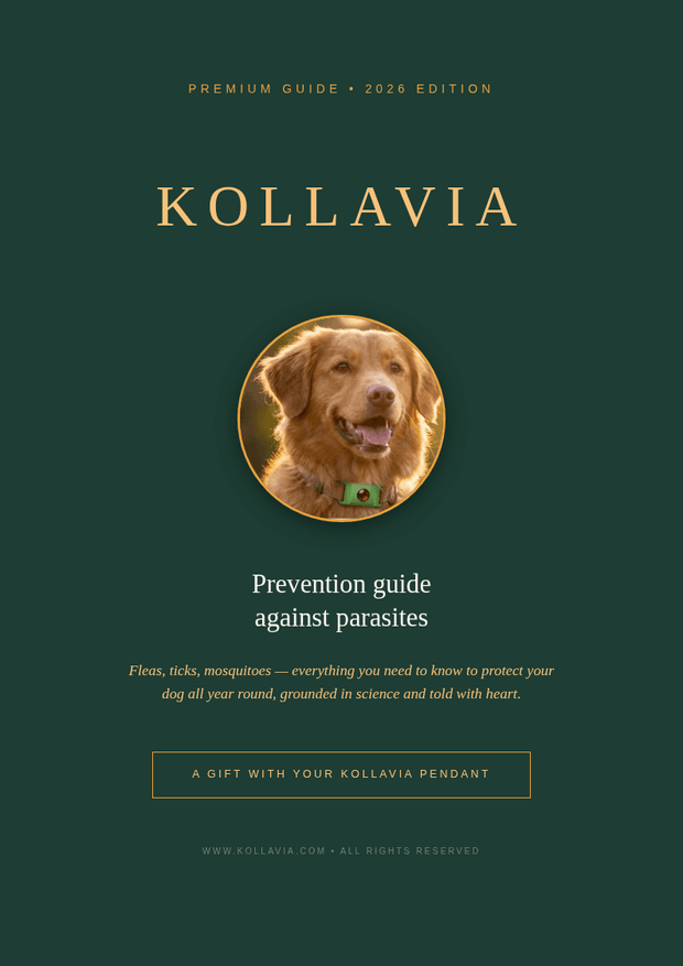 Flea & Tick Prevention Guide (eBook)