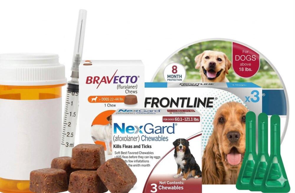 Chemical treatments — spot-ons, chews, collars