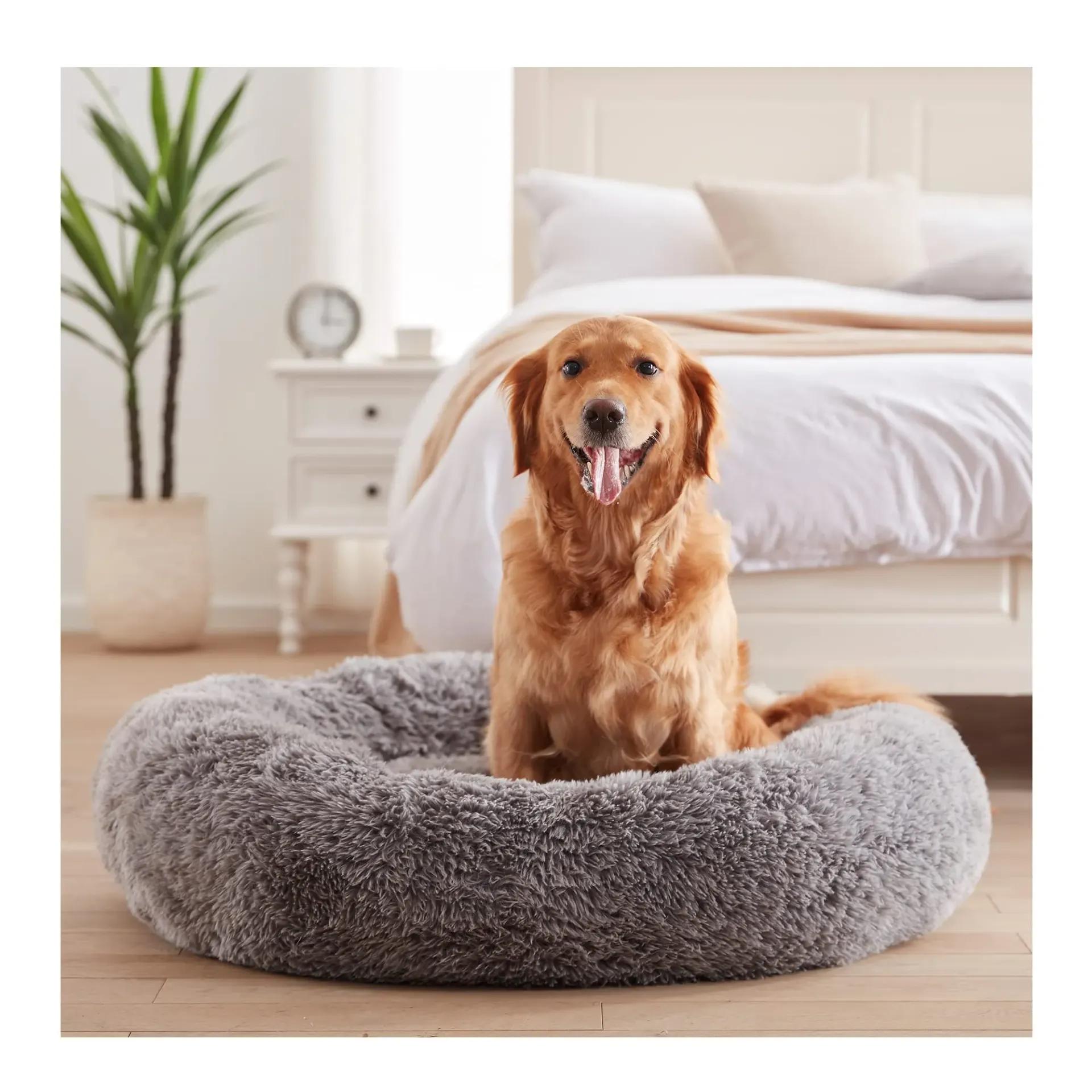 Why Anxious Dogs Sleep Curled in a Circle (and What It Tells You About Their Bed)