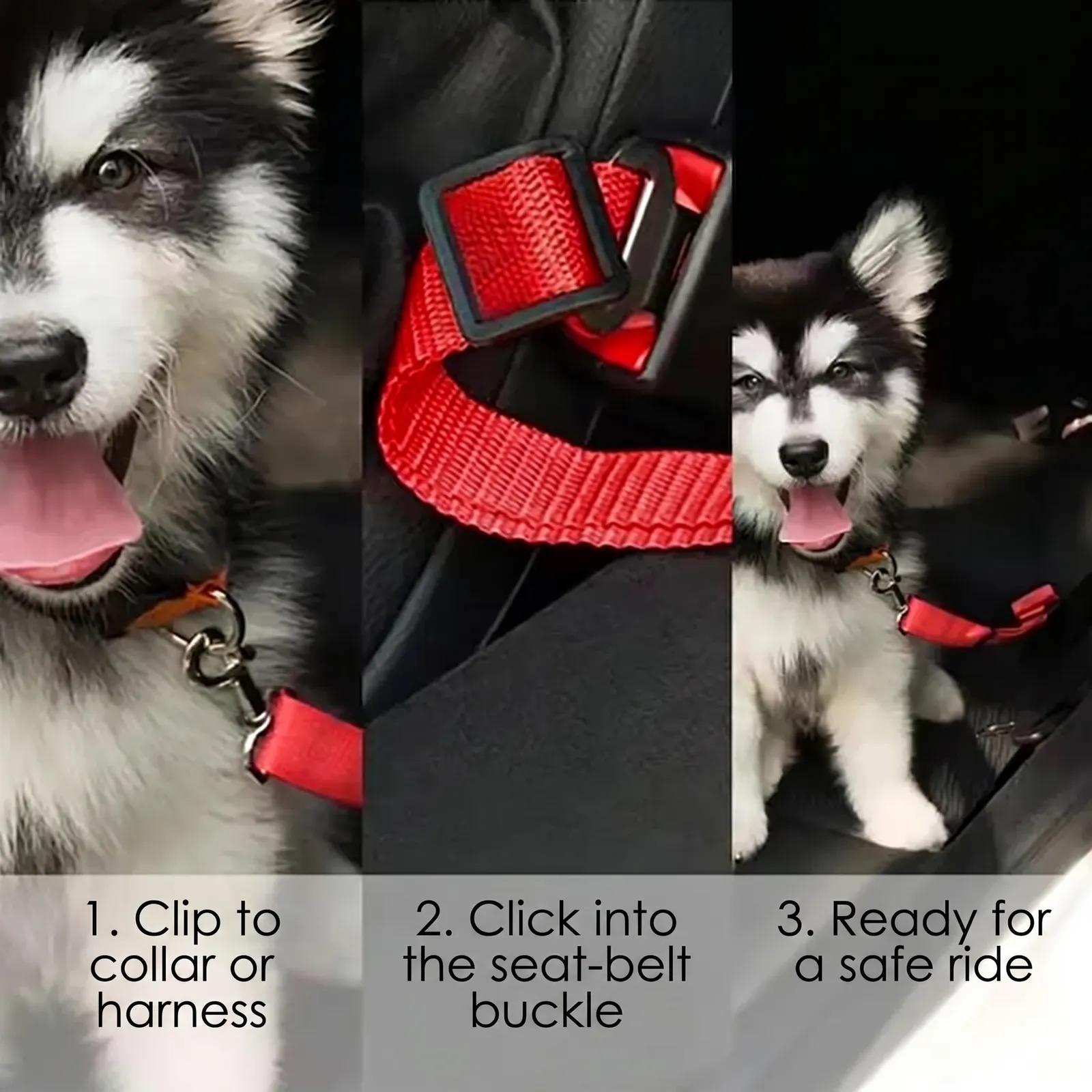 Dog Seat-Belt Tether (Universal Buckle) - photo 4