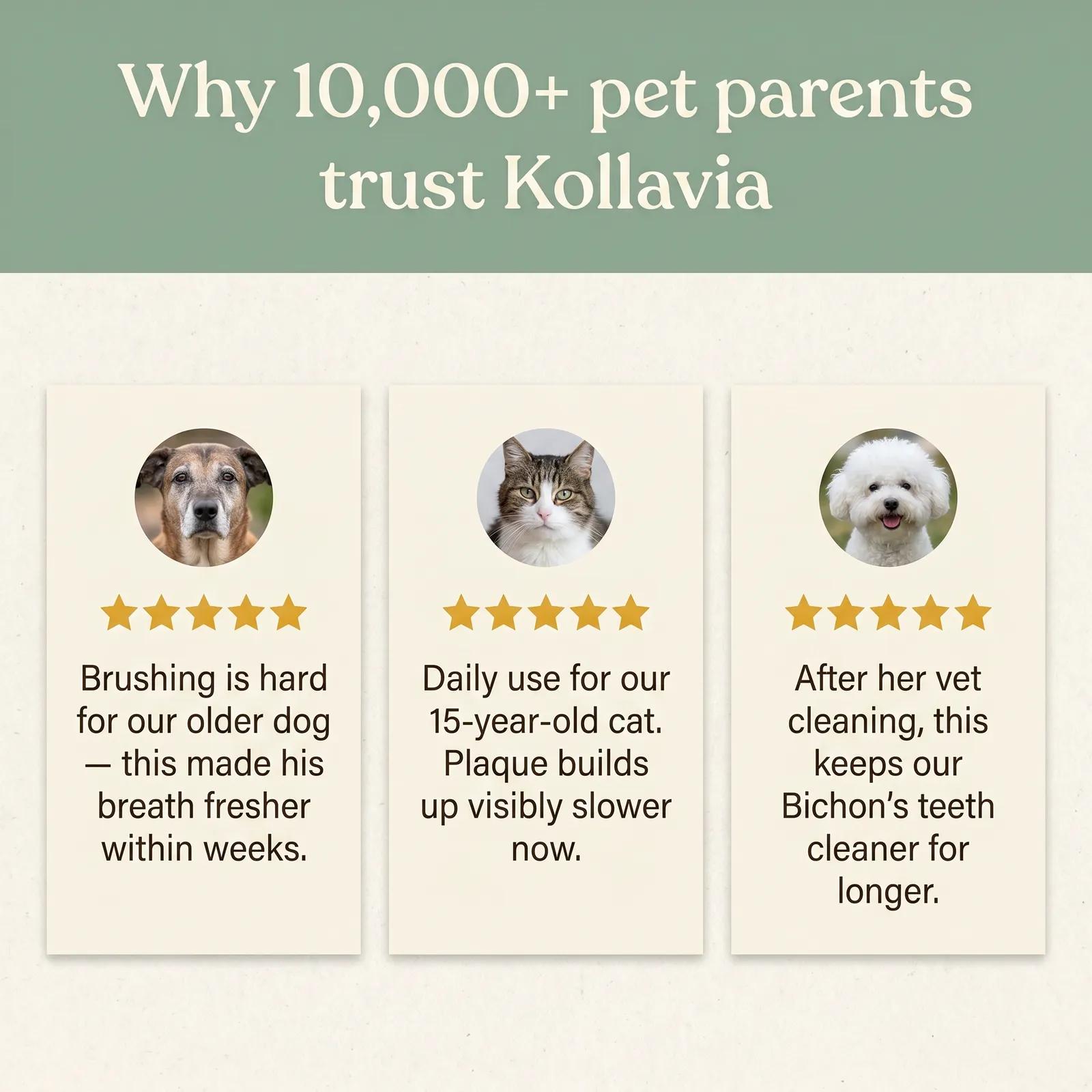 Dog Dental Spray — Fresh Breath & Tartar Control - photo 4