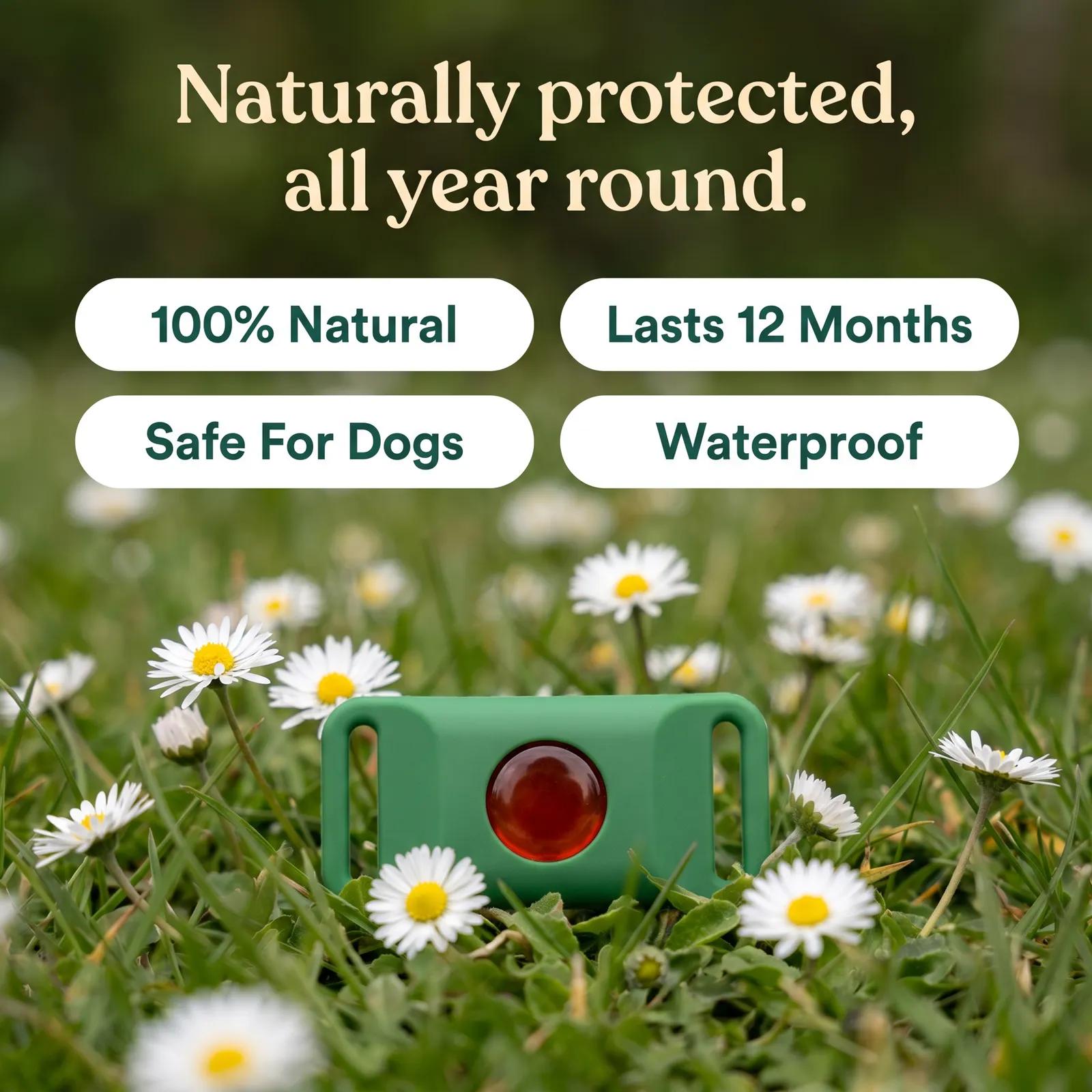 Natural Flea & Tick Repellent Pendant - photo 3