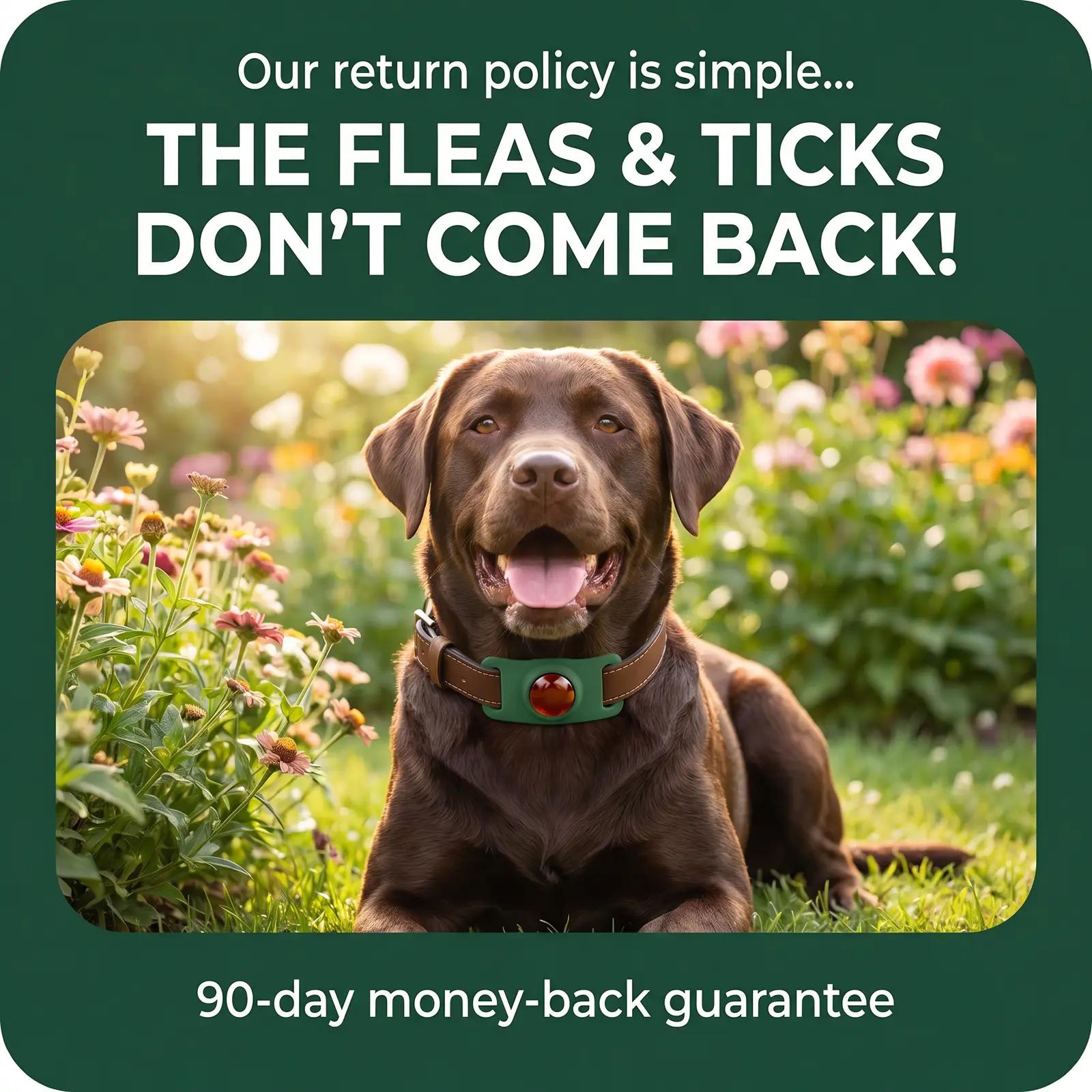 Natural Flea & Tick Repellent Pendant - photo 8