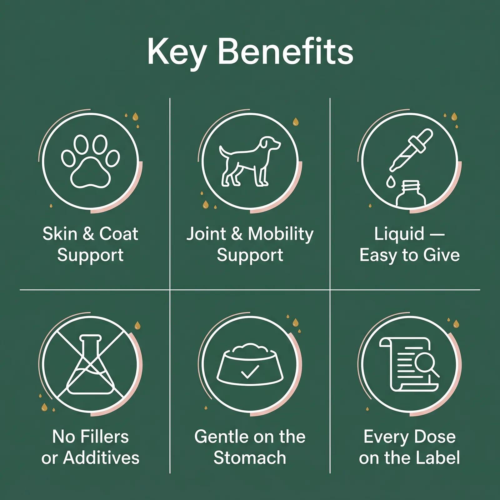 Liquid Collagen for Dogs — Hip, Joint & Mobility Support - photo 3