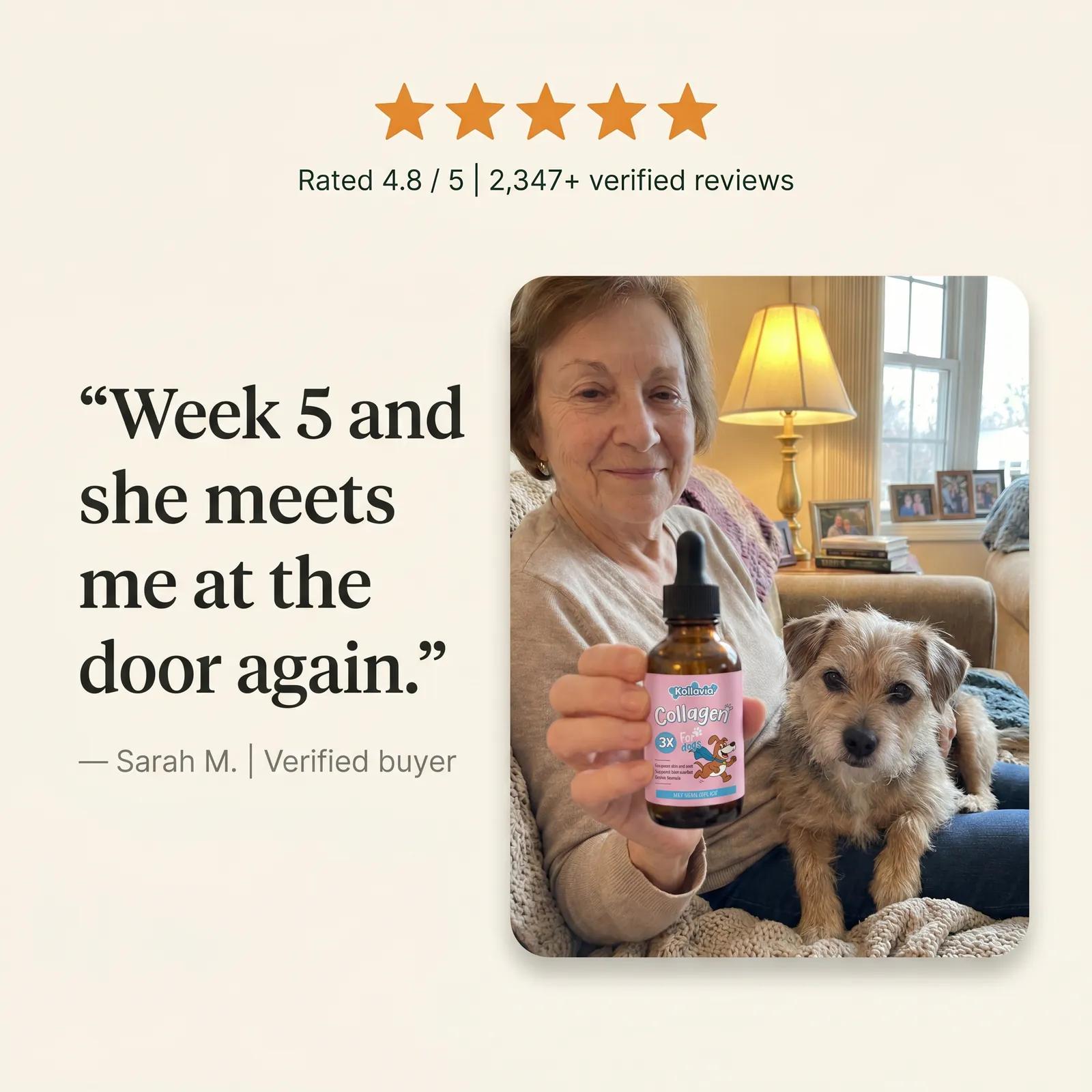 Liquid Collagen for Dogs — Hip, Joint & Mobility Support - photo 6