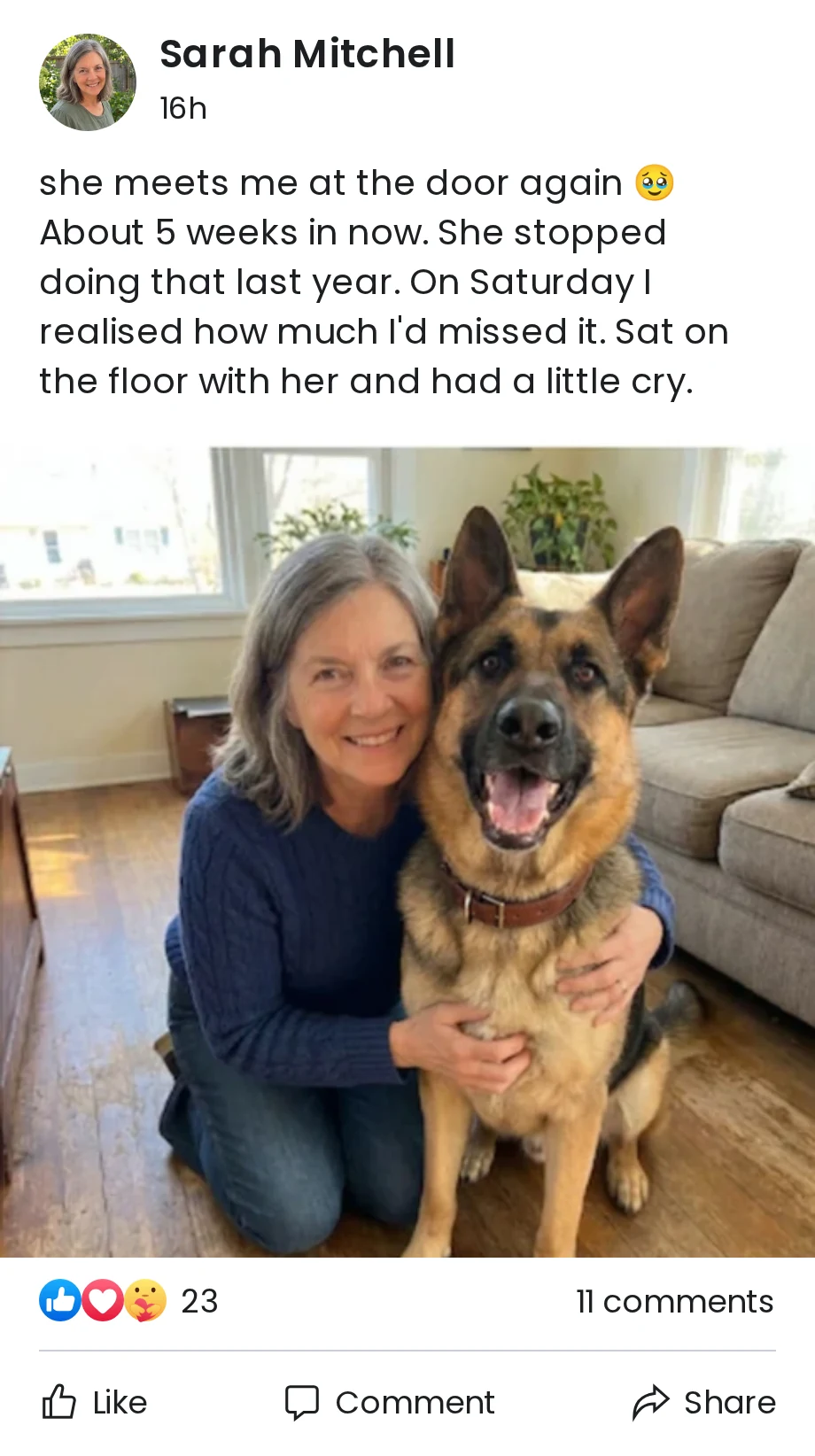 Sarah Mitchell: she meets me at the door again 🥹 About 5 weeks in now. She stopped doing that last year. On Saturday I realised how much I'd missed it. Sat on the floor with her and had a little cry.