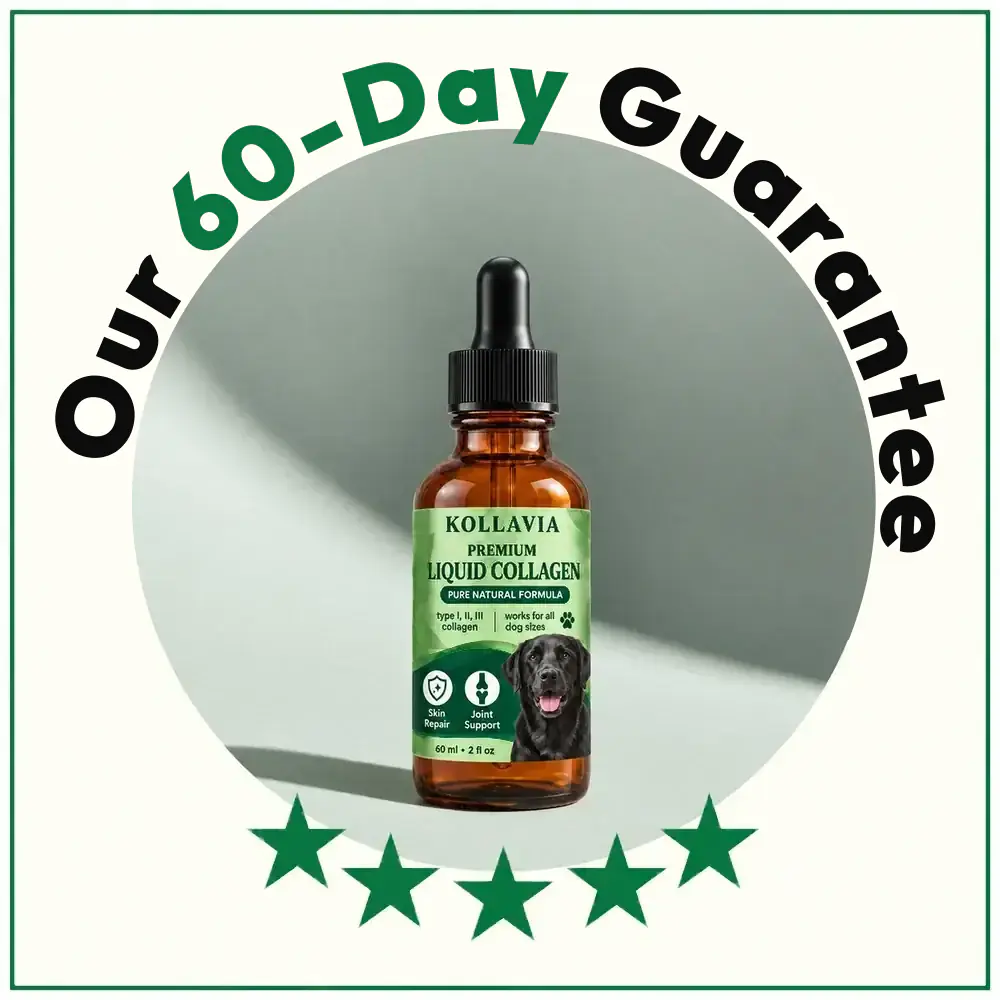 60-day money-back guarantee